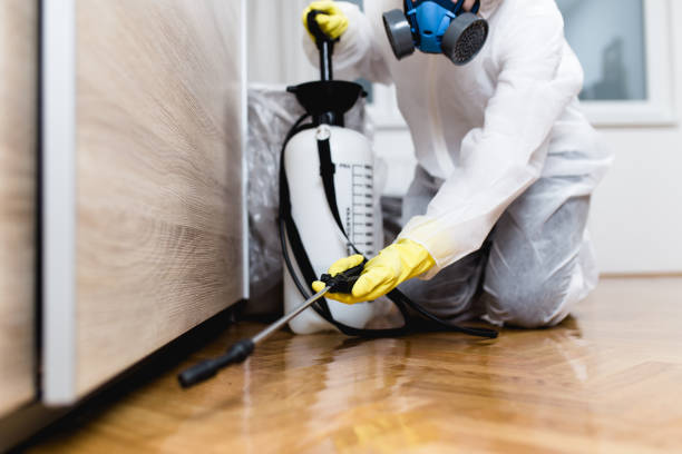 Best Best Pest Control Companies  in Thornwood, NY