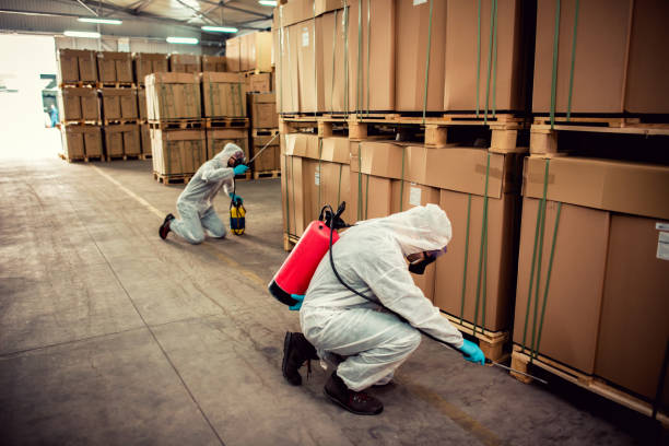 Best Flea Control Services  in Thornwood, NY
