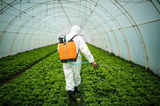 Best Mosquito Control Services  in Thornwood, NY