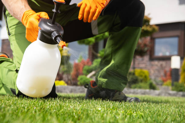 Best Emergency Pest Control  in Thornwood, NY
