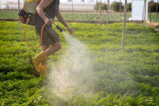 Best Exterminator Services  in Thornwood, NY