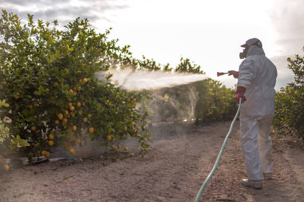 Best Local Pest Control Services  in Thornwood, NY