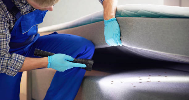 Best Pest Control Cost  in Thornwood, NY
