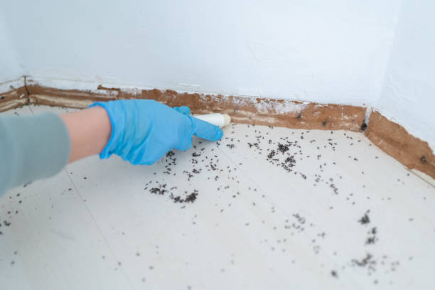 Best Best Pest Control Companies  in Thornwood, NY