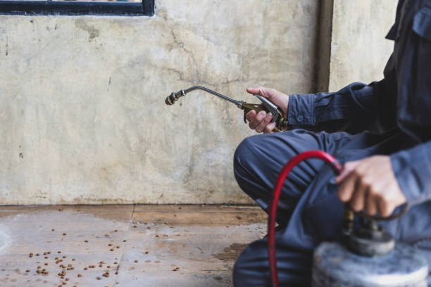 Best Affordable Pest Control Services  in Thornwood, NY